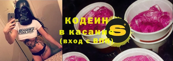 индика Горняк