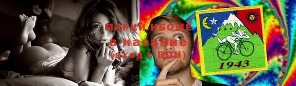 индика Горняк