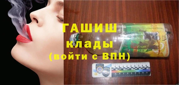 гидра Горнозаводск