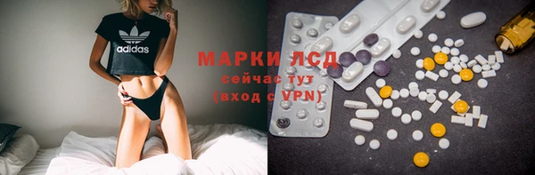 гидра Горнозаводск