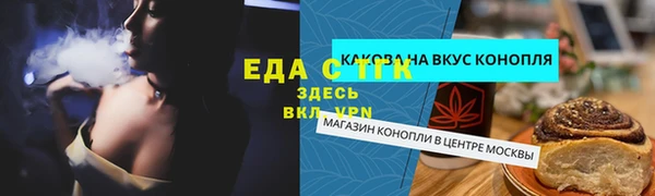 индика Горняк