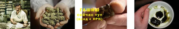 гидра Горнозаводск