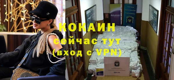 гидра Горнозаводск