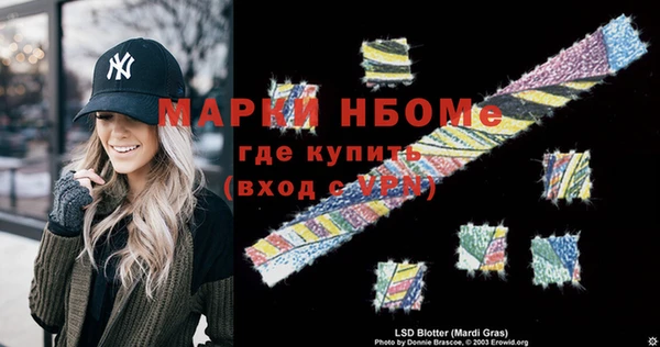 индика Горняк