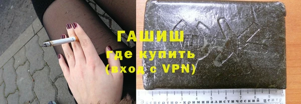 индика Горняк
