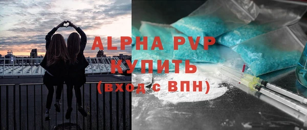 индика Горняк