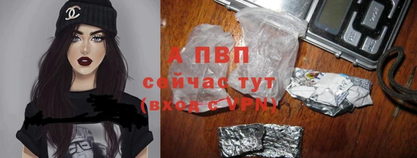 гидра Горнозаводск